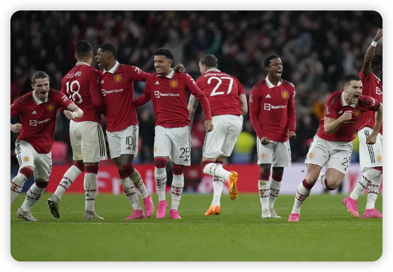 Fan Reactions and Financial Complexities