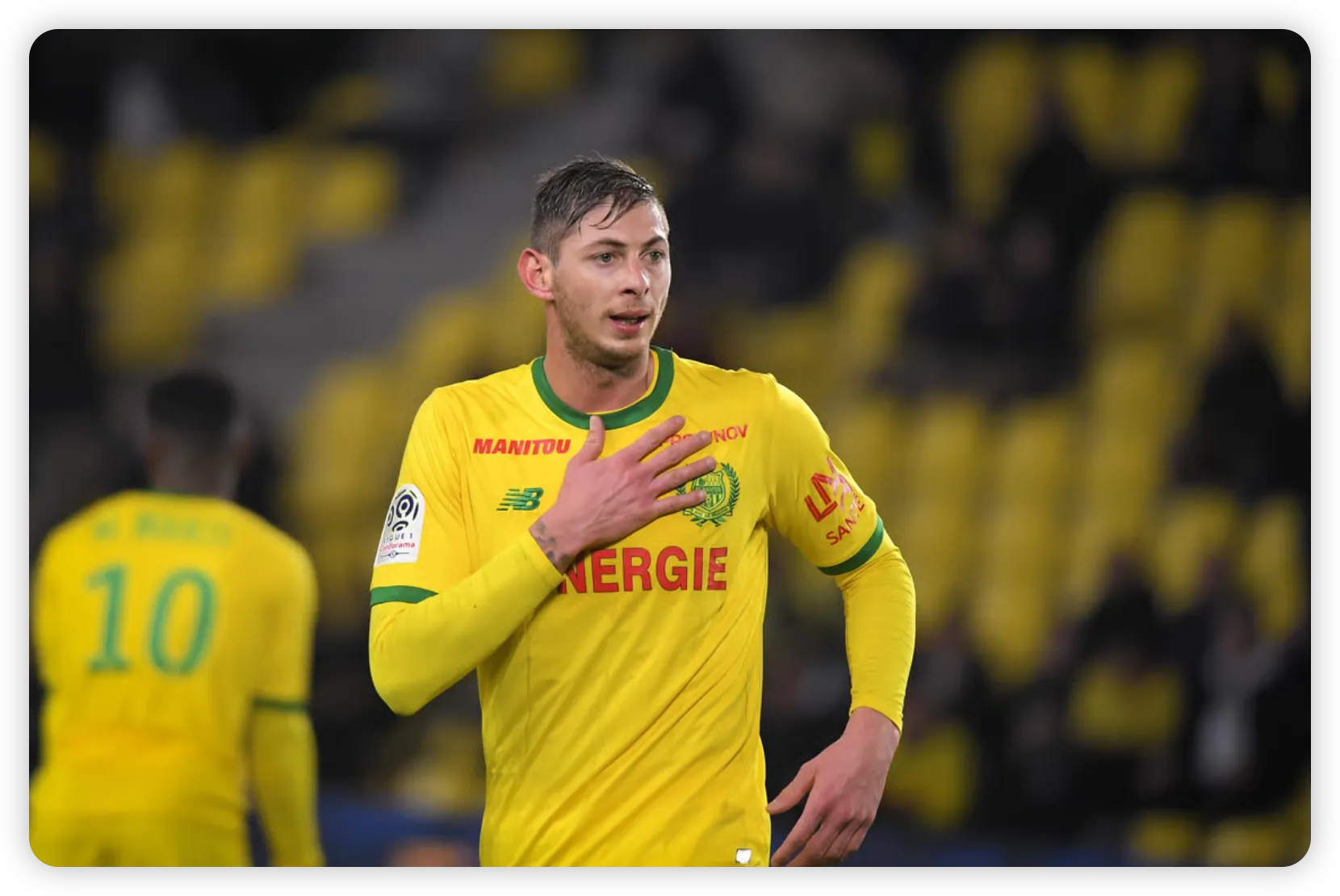 Search Efforts and Grim Realities