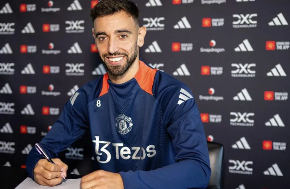 The Player Profile